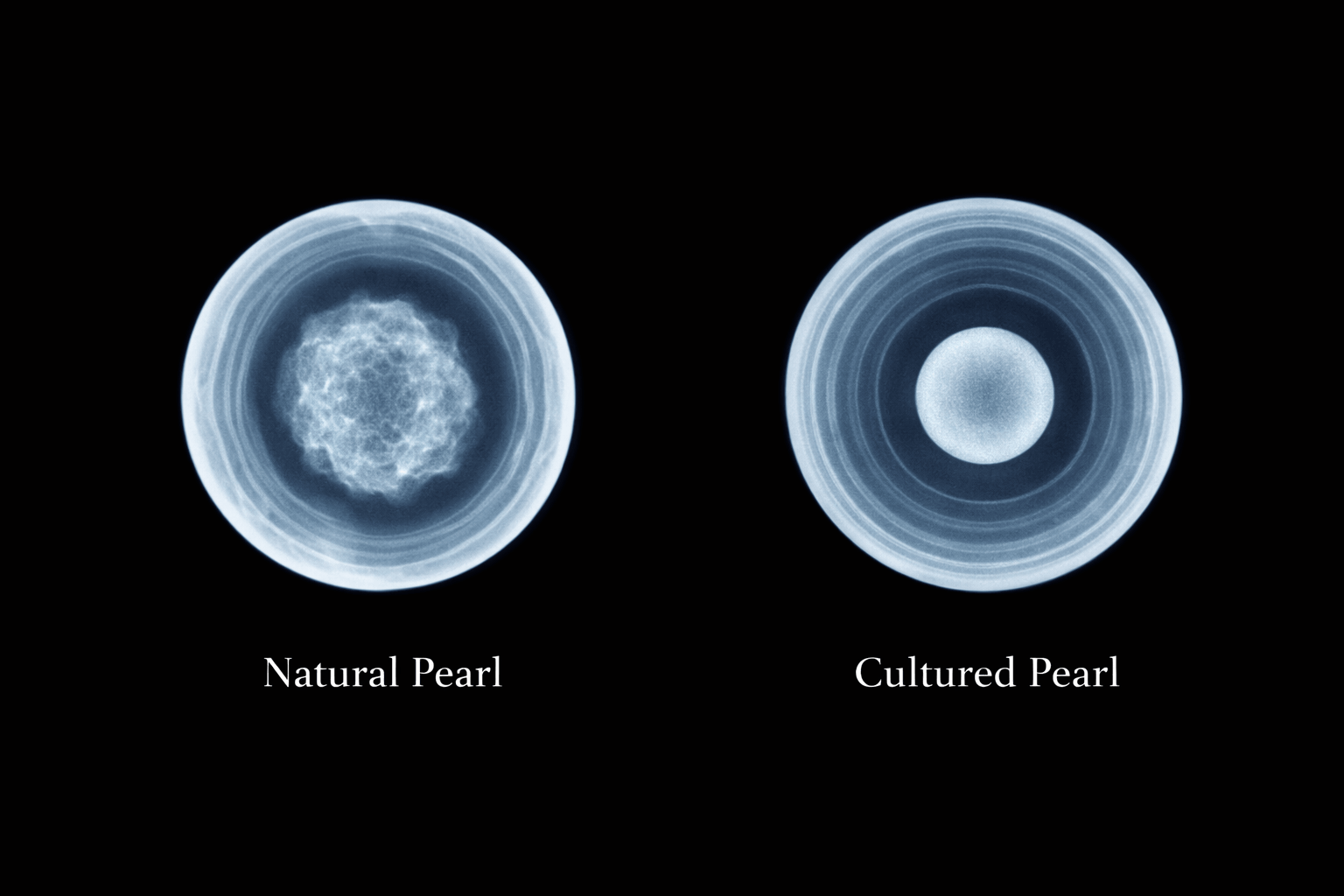 pearlsonly-blog-110-image-3-pearl - Hogyan lehet megkülönböztetni a természetes és a tenyésztett gyöngyöket - Gyöngy ékszerek - pearlsonly