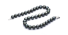 12-12.9mm Tahiti Nyaklánc in Q118 Fekete