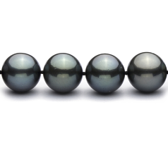 12-12.9mm Tahiti Nyaklánc in Q118 Fekete